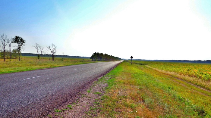 road, grass, sky, nature