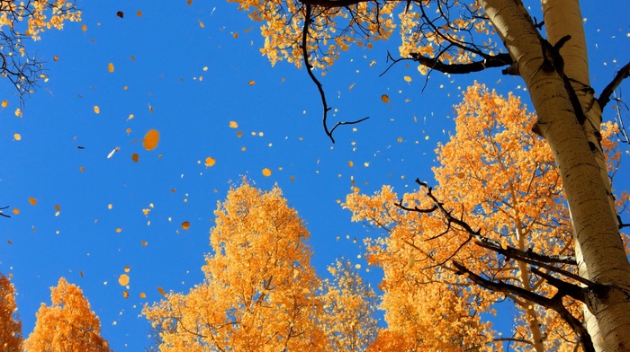 sky, autumn