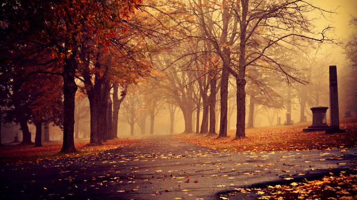 autumn, leaves, cities, trees, park