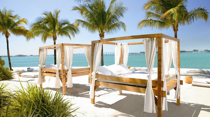 palm trees, beach, interior