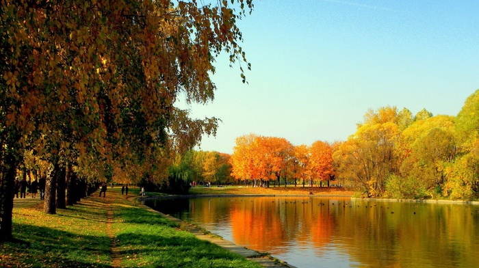 autumn, park