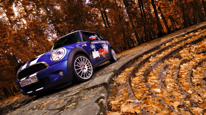 wind, trees, auto, cars, foliage, autumn, super