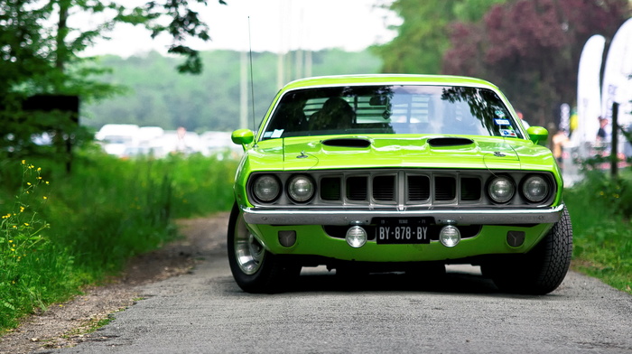 cars