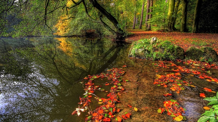 autumn, river, tree, foliage