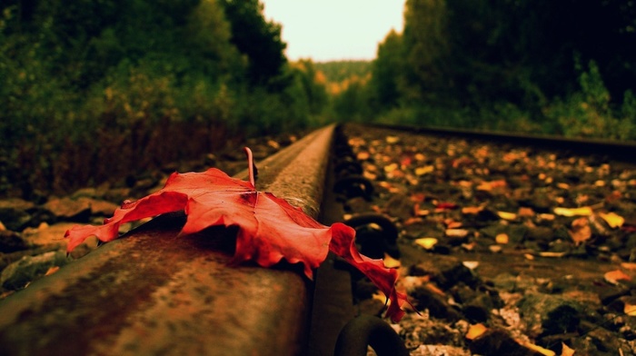 autumn, railway