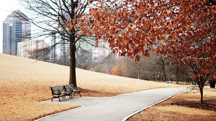 runway, city, autumn