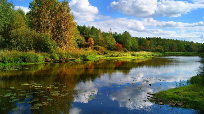 river, trees, nature, landscape