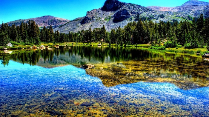 forest, nature, mountain, lake, reflection, landscape