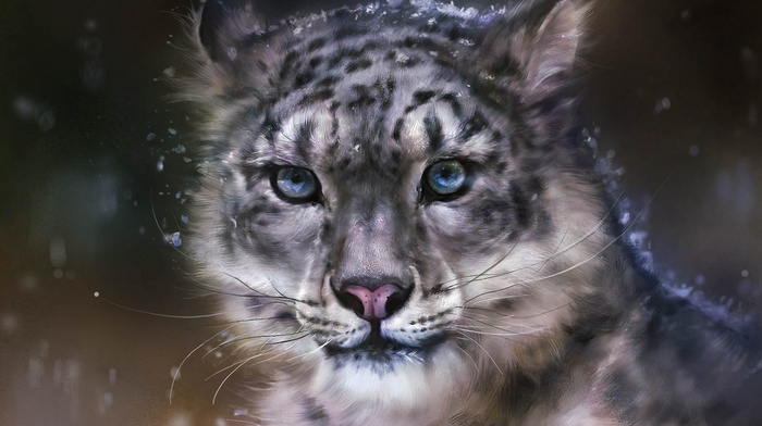animals, leopard, predator, snow, art