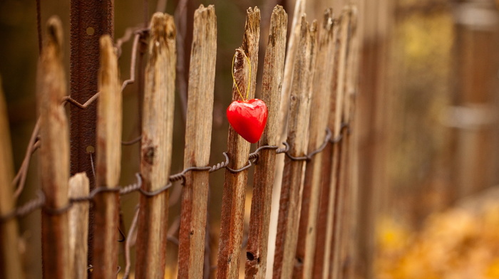 fence, light, heart, stunner