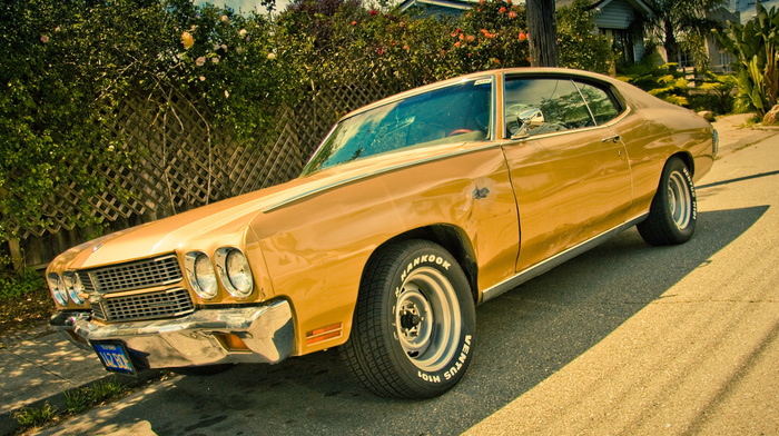 cars, car