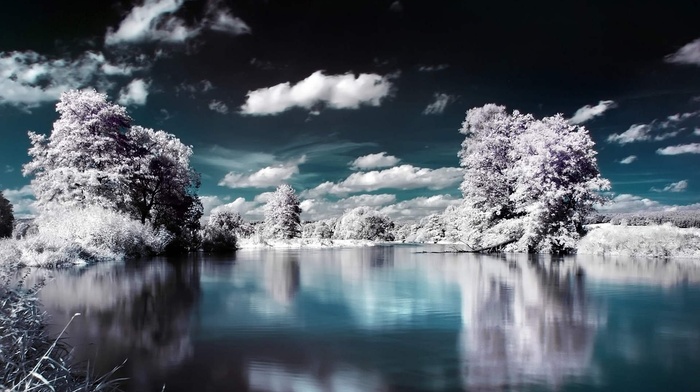 water, snow, tree, lake, winter