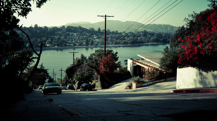 nature, sea, street, road