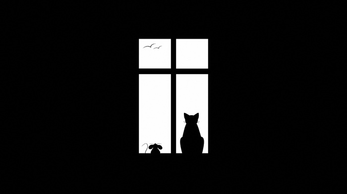 cat, minimalism, window, birds