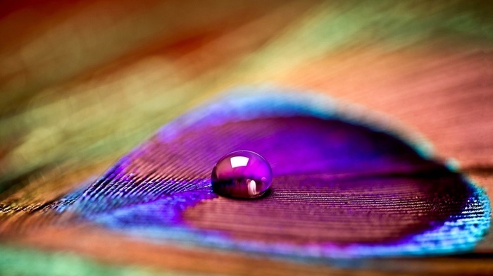 macro