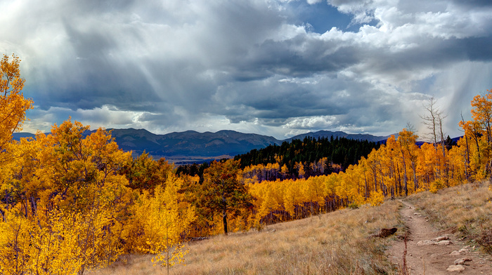 mountain, USA, autumn