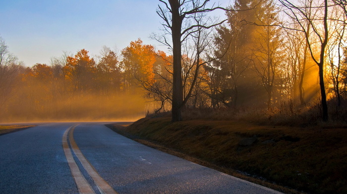 road, nature, morning, landscape, autumn