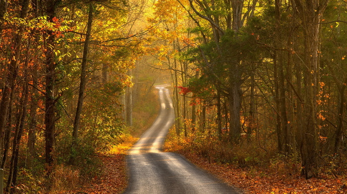 landscape, road, autumn