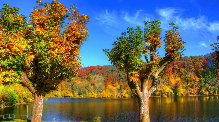 lake, coast, Germany, autumn
