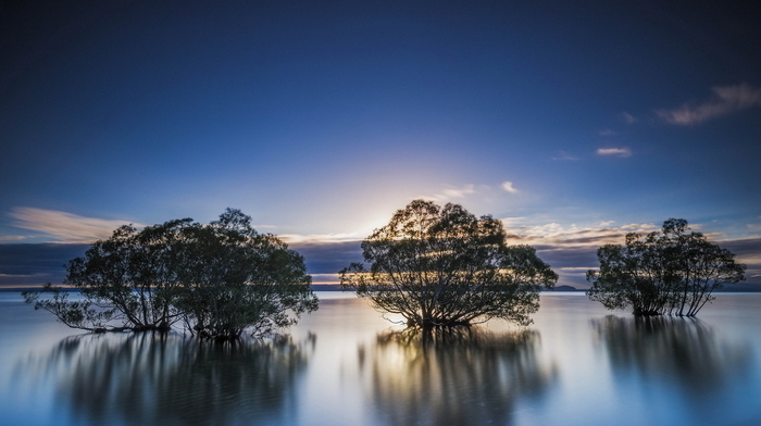 lake, nature, landscape, trees