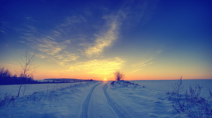 field, winter, nature, Sun, snow