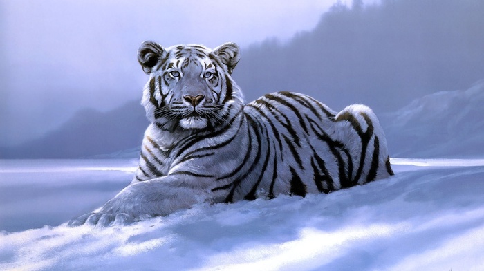 tiger, art, animals