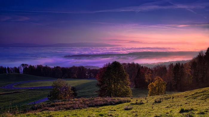 mist, valley, sky, nature, forests