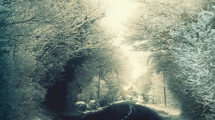 winter