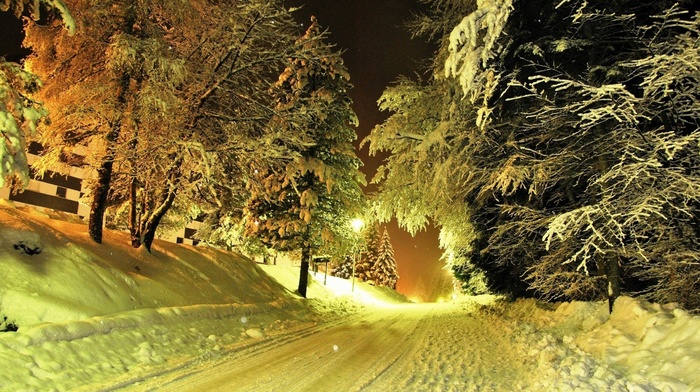 winter