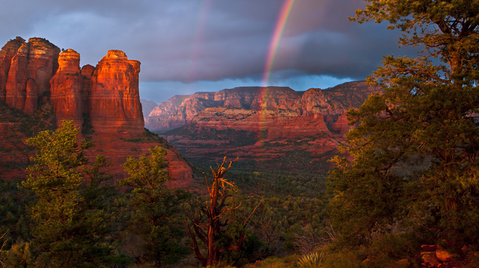 sky, rainbow, mountain, landscape, trees, nature