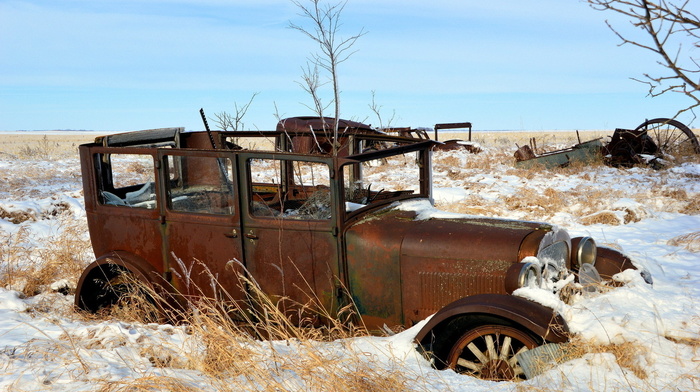 field, winter, car, snow