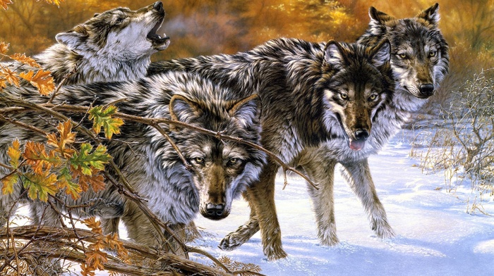 art, animals