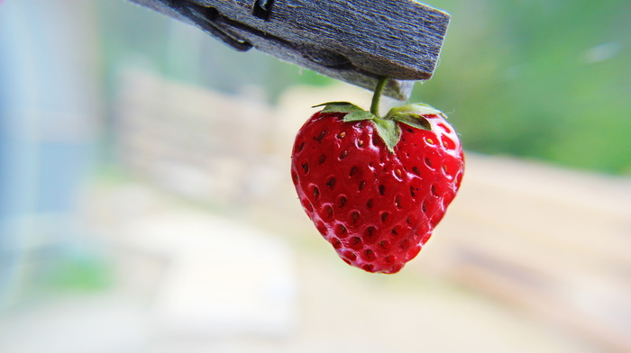 stunner, strawberry, heart