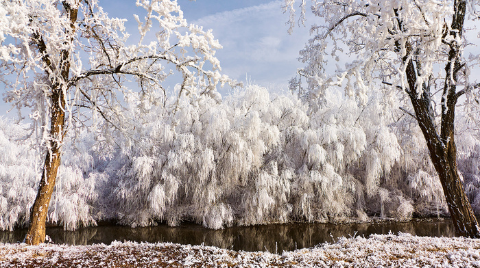 river, trees, winter, nature