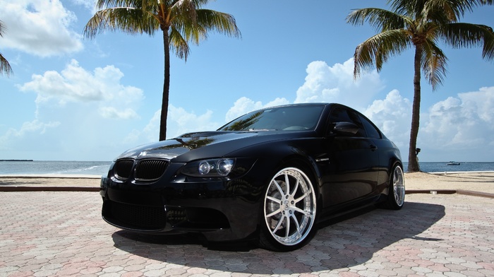 BMW, palm trees, black, m3, cars, bmw