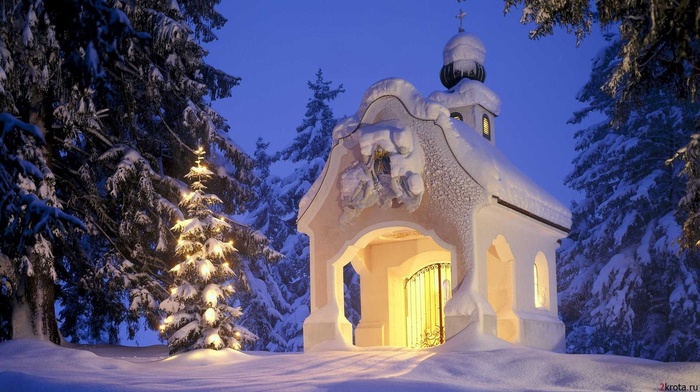 winter, forest, evening, church, lodge, light, snow, fir-tree