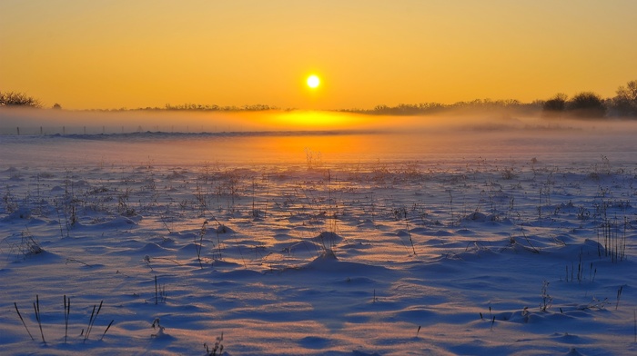 landscape, field, winter, sunrise, snow