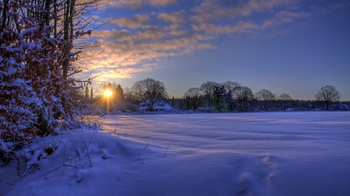 morning, nature, winter, beauty