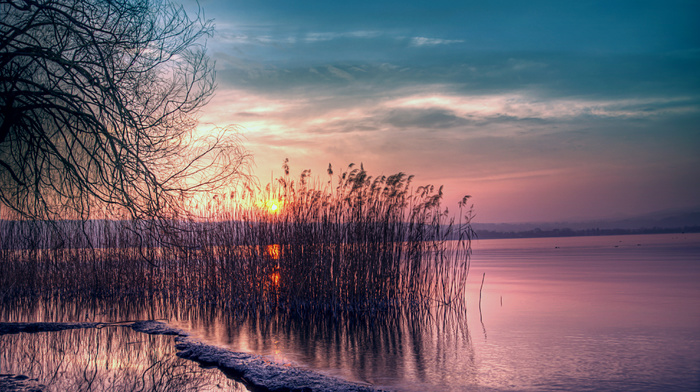 nature, Sun, evening, sunset, pink, sky