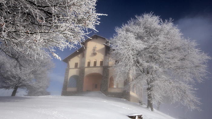 landscape, winter, house, tree