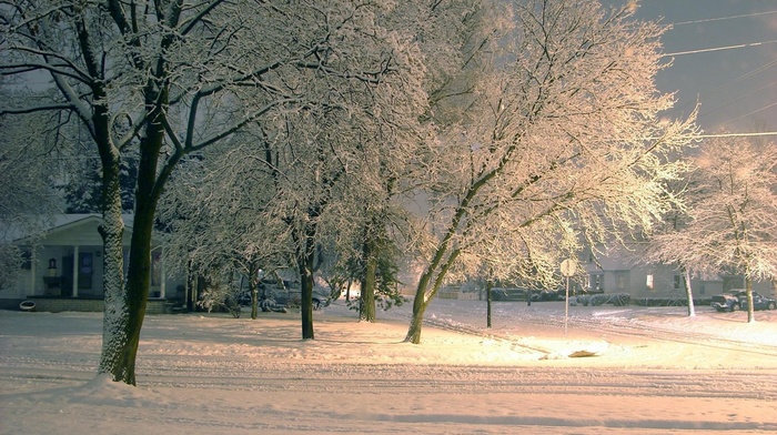 street, winter, landscape, cities