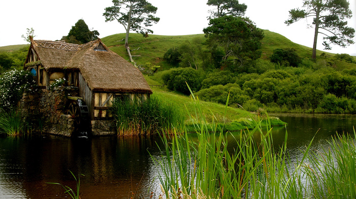 nature, water, pond, house, flowers, grass