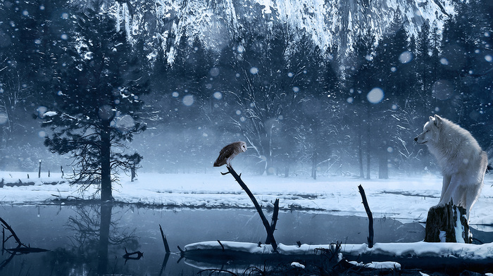 owl, lake, 3D, snow, art, wolf, winter