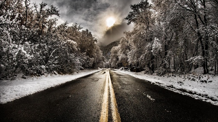 winter, road, landscape