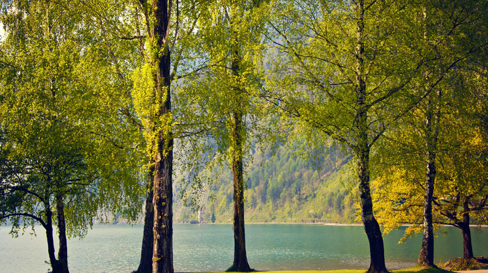 Switzerland, trees, lake, nature, spring