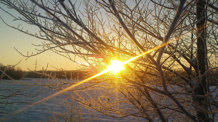 winter, Sun, frost