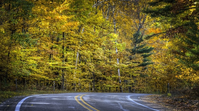 landscape, autumn, road