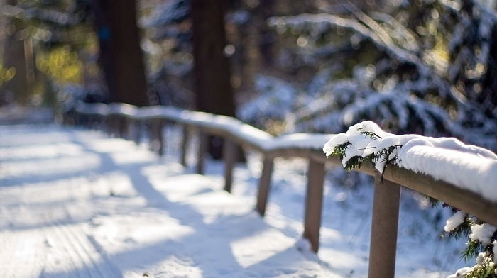 winter, macro, snow, fence