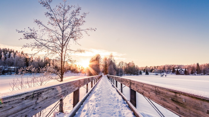 nature, bridge, landscape, winter