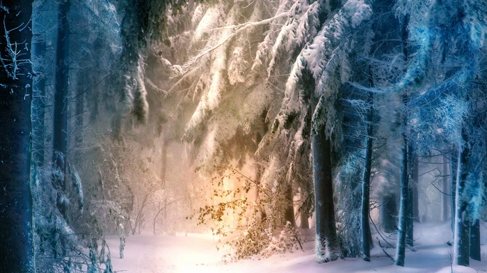winter